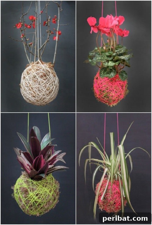 Simple, Stylish DIY Hanging Planters to Transform Your Space 18 DIY Hanging Moss Ball Planter with Succulent