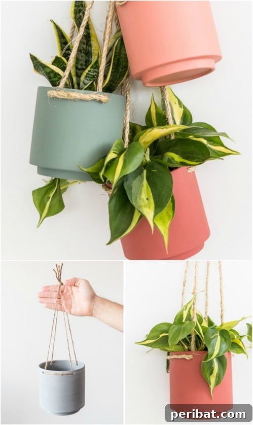 Simple, Stylish DIY Hanging Planters to Transform Your Space 3 Easy $5 Hanging Planter with Rope and Colorful Pot