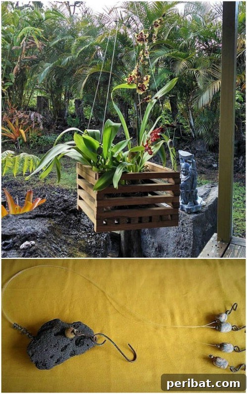 Simple, Stylish DIY Hanging Planters to Transform Your Space 21 Wooden Basket Hanging Planter for Orchids and Indoor Plants