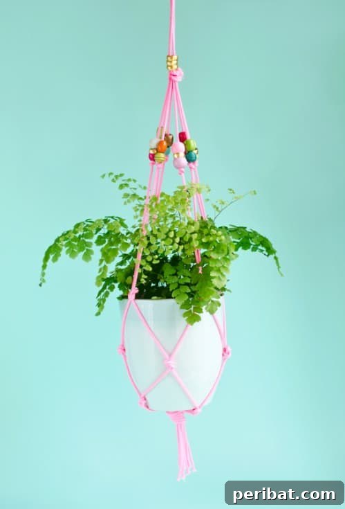 Simple, Stylish DIY Hanging Planters to Transform Your Space 6 Easy $10 Hanging Beaded Planter with Decorative Ropes
