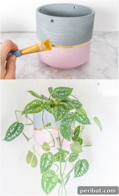 Simple, Stylish DIY Hanging Planters to Transform Your Space 7 DIY Hanging Planter Upgrade with Painted Design