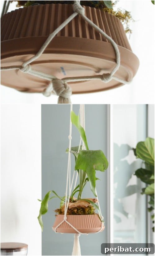 Simple, Stylish DIY Hanging Planters to Transform Your Space 9 DIY Pleated Dish Hanging Planter with Rope