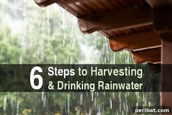DIY Rainwater Harvester with Five-Gallon Bucket