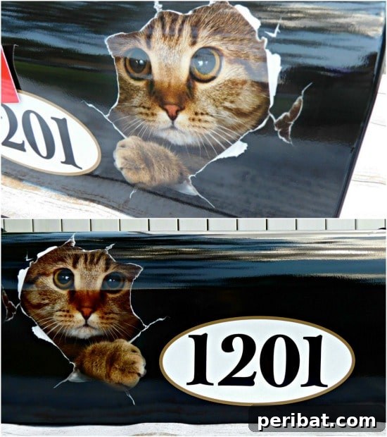 Charming Cat-Themed Mailbox for Pet Lovers