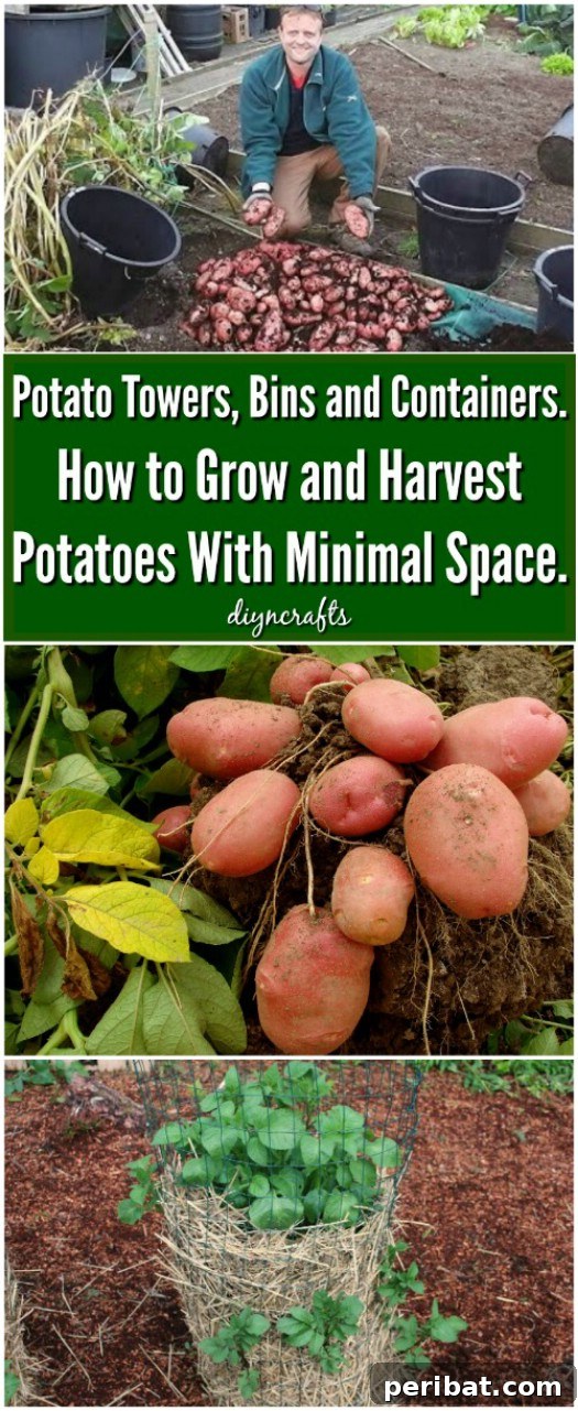 DIY Vertical Gardens: Simple Projects for Any Space 15 Easy DIY Potato Tower