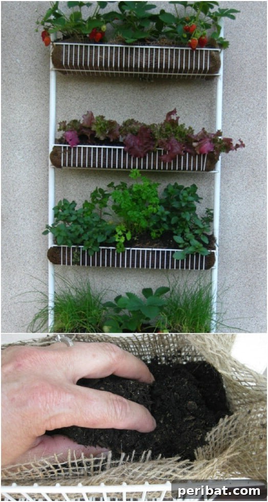 DIY Vertical Gardens: Simple Projects for Any Space 19 Repurposed Kitchen Spice Rack Vertical Garden