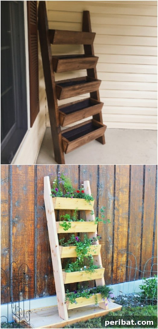 DIY Vertical Gardens: Simple Projects for Any Space 5 DIY Cedar Ladder Planter