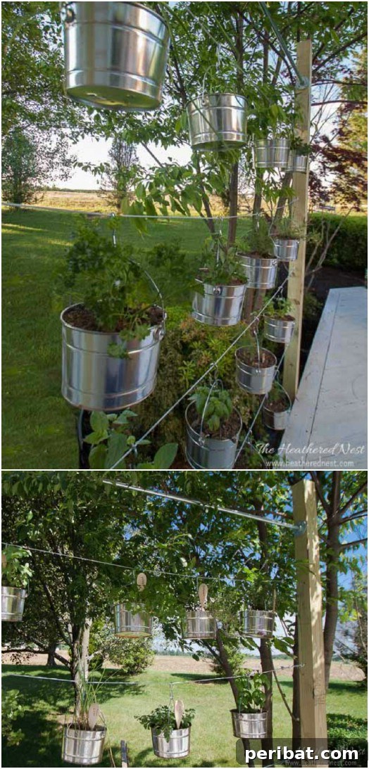 DIY Vertical Gardens: Simple Projects for Any Space 7 Galvanized Bucket Hanging Garden