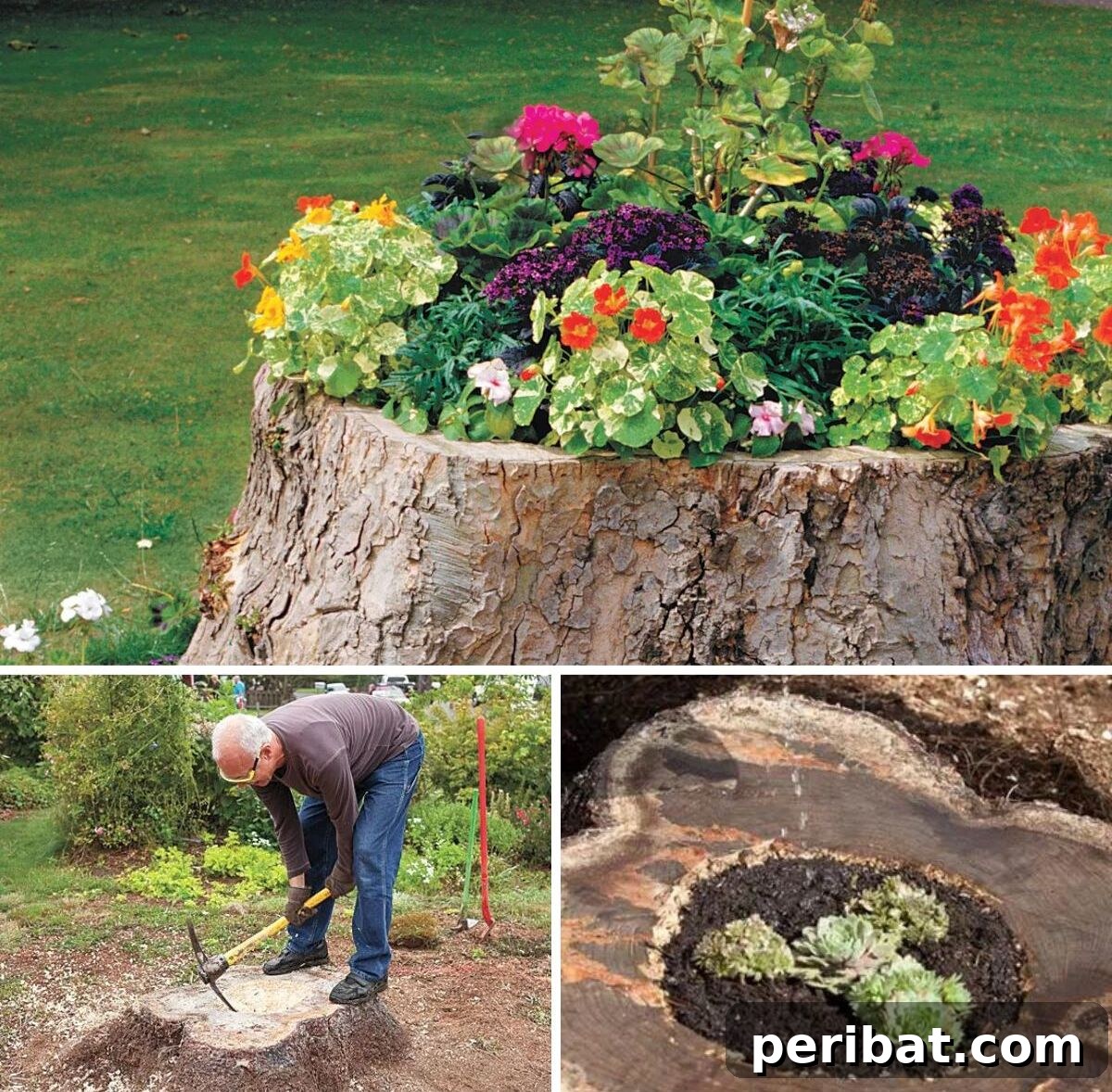 Smart DIY Solutions for Small Backyard Style 14 Repurposed Tree Stump Planters, turning old tree stumps into beautiful and unique garden features.