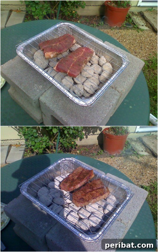 Ignite Your Summer: 10 DIY Grills for Backyard Bliss 3 Easy $2 DIY Charcoal Grill