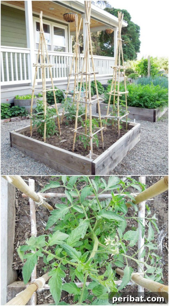 15 Must-Have DIY Plant Supports and Cages for Your Summer Garden 12 DIY Bamboo And Twine Towers