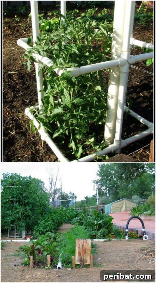 15 Must-Have DIY Plant Supports and Cages for Your Summer Garden 16 Super Easy PVC Pipe Tomato Cage