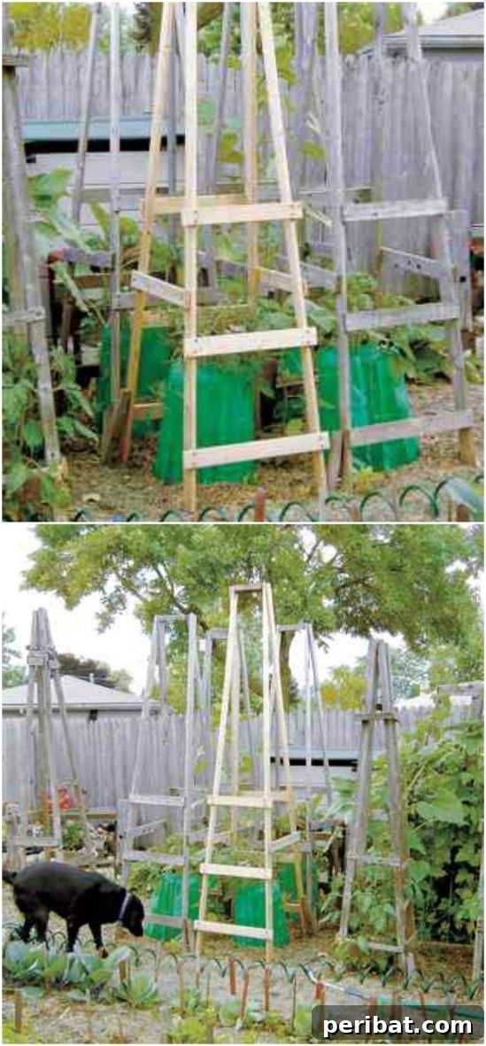 15 Must-Have DIY Plant Supports and Cages for Your Summer Garden 3 DIY Folding Ladder Tomato Cages