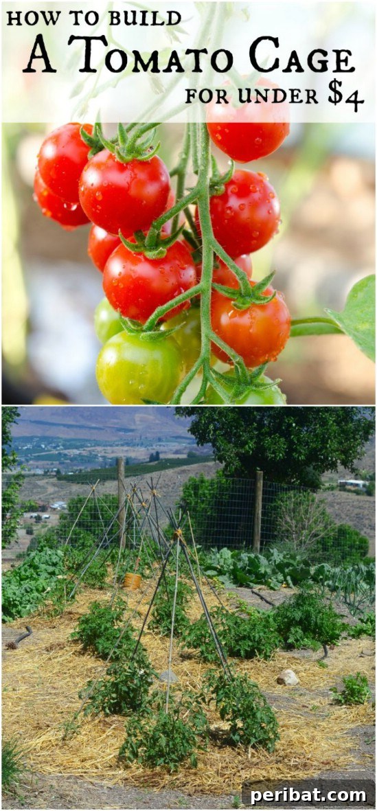 15 Must-Have DIY Plant Supports and Cages for Your Summer Garden 4 $4 DIY Plant Supports