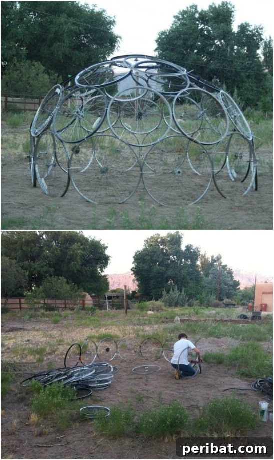 15 Must-Have DIY Plant Supports and Cages for Your Summer Garden 5 DIY Bike Wheel Dome Plant Support