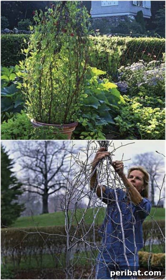 15 Must-Have DIY Plant Supports and Cages for Your Summer Garden 6 Cheap And Easy DIY Potted Branch Trellis