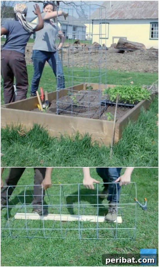 15 Must-Have DIY Plant Supports and Cages for Your Summer Garden 7 Super Sturdy DIY Tomato Cage