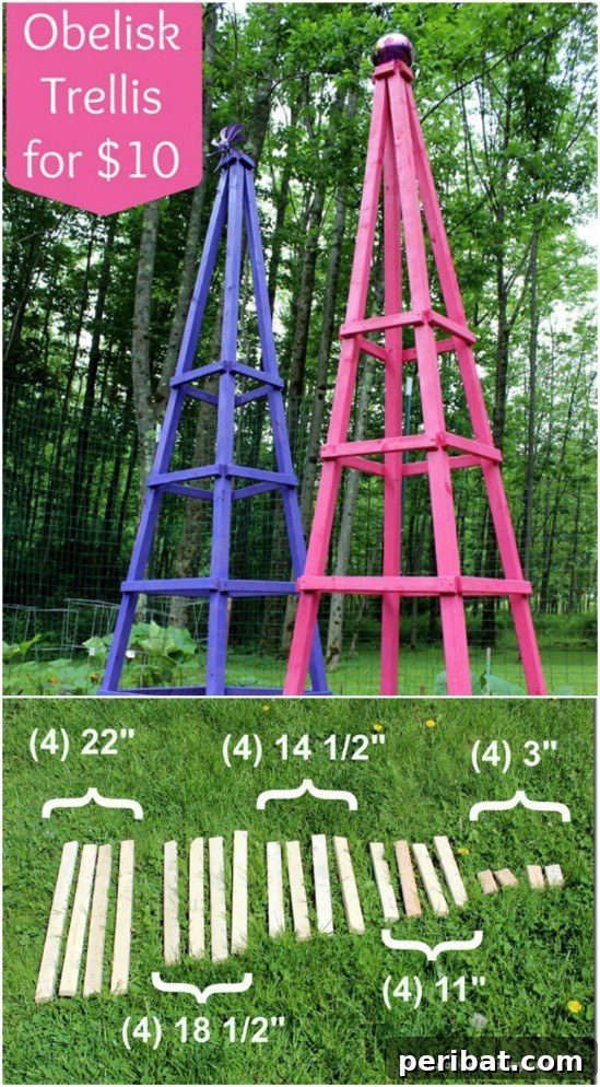 15 Must-Have DIY Plant Supports and Cages for Your Summer Garden 9 Easy $10 Obelisk Trellis