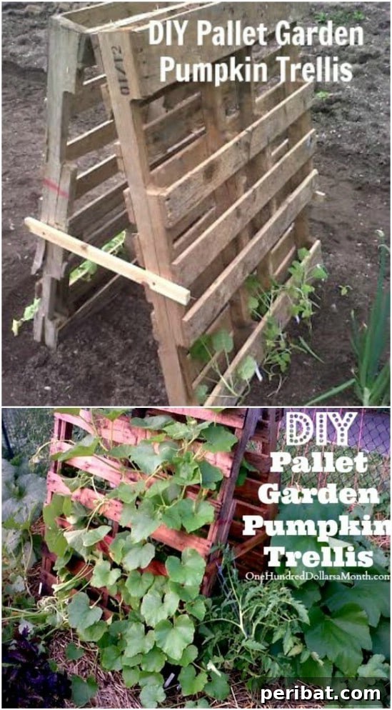 15 Must-Have DIY Plant Supports and Cages for Your Summer Garden 10 Repurposed Pallet Plant Trellis