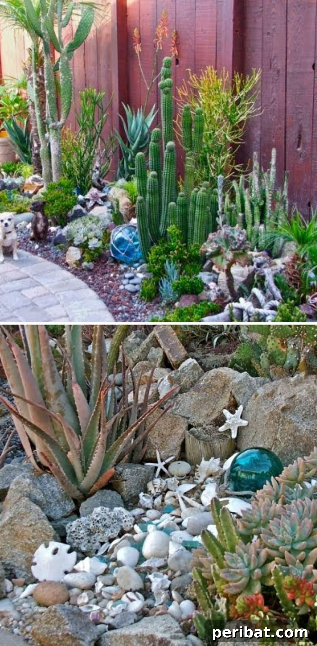 20 Creative DIY Projects for a Stunning Coastal Outdoor Oasis 16 DIY Seashell Succulent Garden