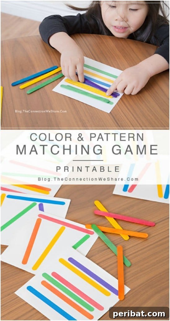 Crafting Summer Memories: Delightful Popsicle Stick Projects for Kids 12 DIY Color and Matching Game made from craft sticks