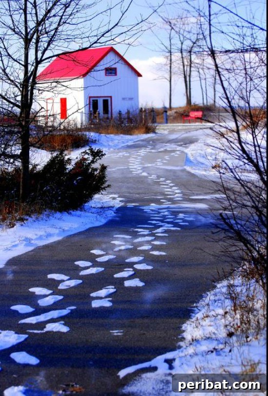 Leave Tracks in the Snow - 20 Easy and Effective DIY Tricks to Keep Your Home Safe