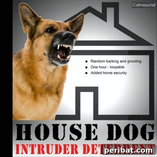 Get a Dog - 20 Easy and Effective DIY Tricks to Keep Your Home Safe