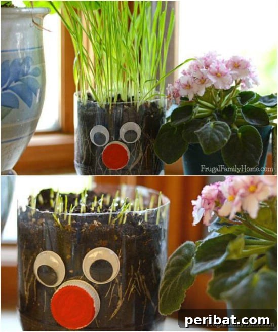 DIY Chia Pet craft for kids