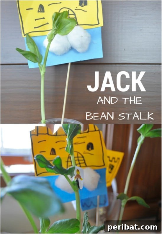 Fun Jack And The Beanstalk garden project