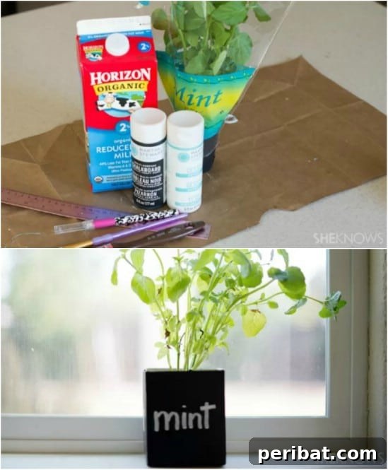 Kid’s Favorite – Milk Carton Planter craft
