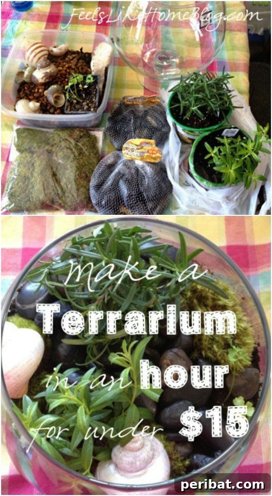 Kid Friendly DIY Terrarium project