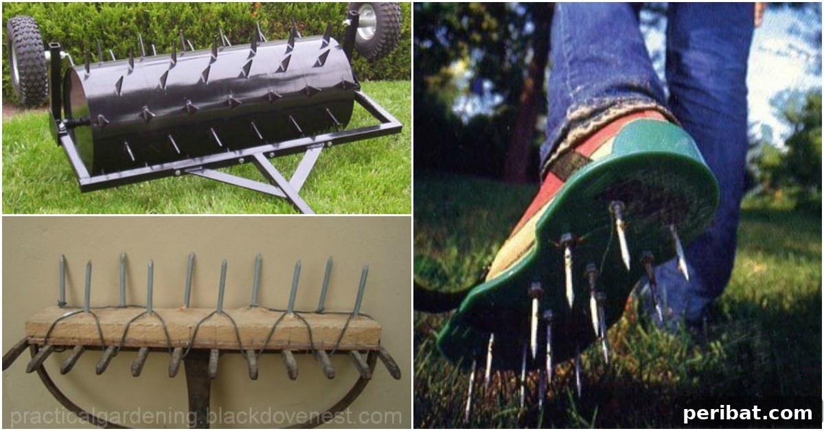 7 Easy DIY Aerators for Your Best Lawn Ever 2 Lawn Aeration Benefits