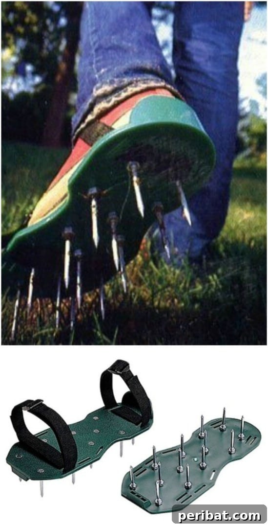 7 Easy DIY Aerators for Your Best Lawn Ever 5 DIY Plexiglass Lawn Aerator Sandals