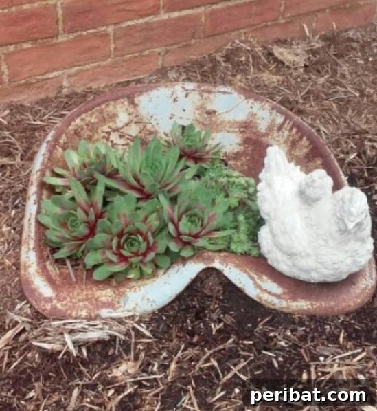 Rustic Charm: 10 Creative Farm Equipment Upcycles for Home & Garden Decor 10 Creative succulent planter made from a repurposed rusty tractor seat