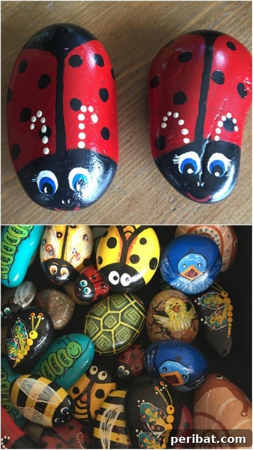 Cute Little Bug Rock Garden