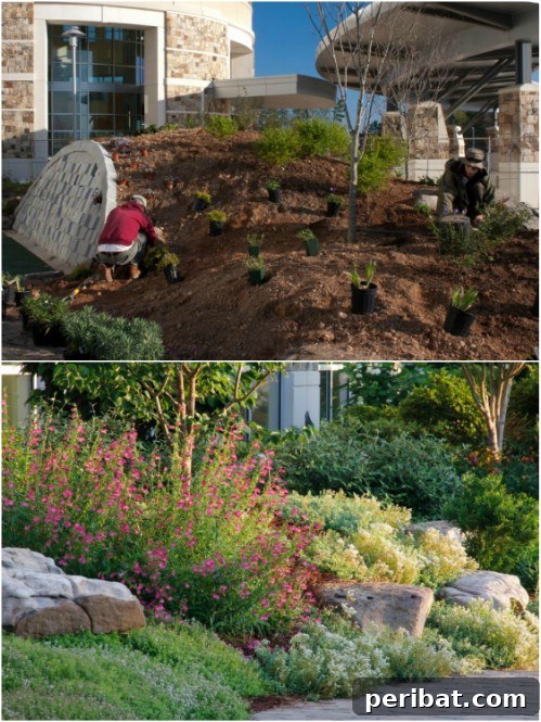 Large Boulder Rock Garden
