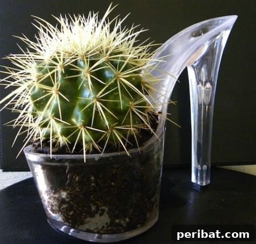 10 Mind-Blowing Ways to Reinvent Your Old Shoes 8 Old Shoe Cactus Planter