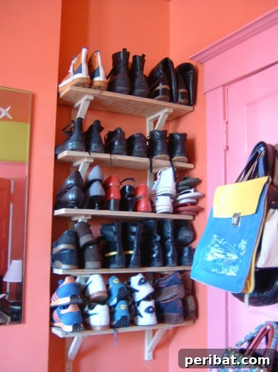 Effortless Shoe Organization Tips 10 Behind the Door Storage