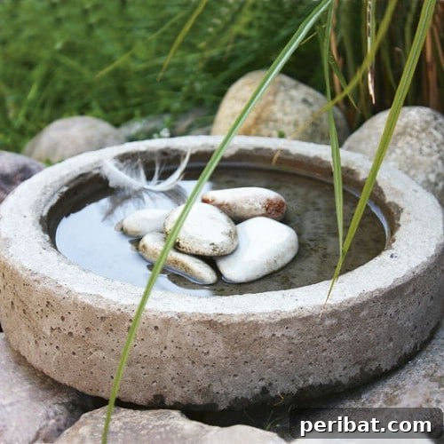 Quick And Simple DIY Concrete Bird Bath