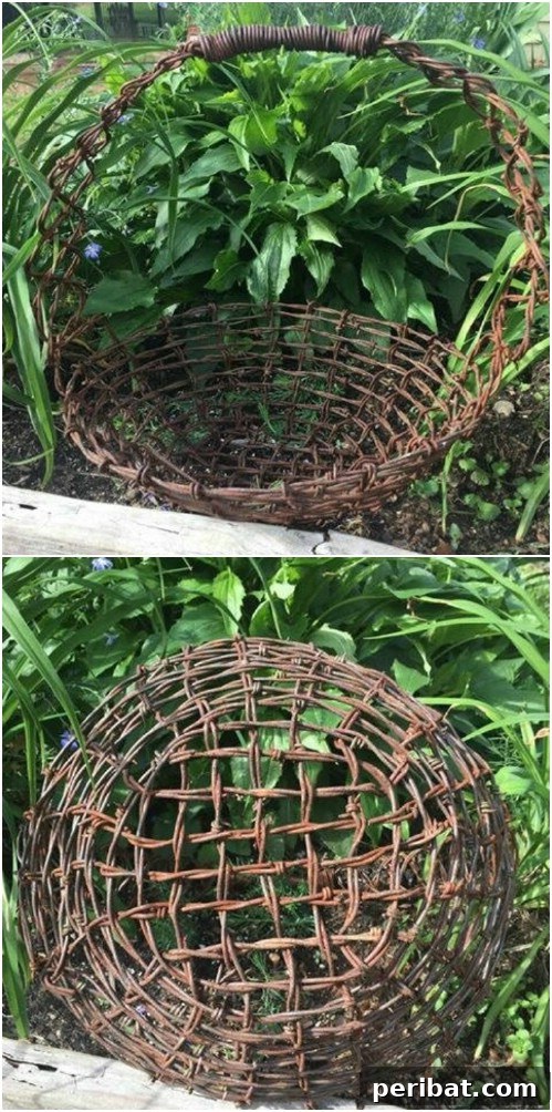 Weathered Wonders: 11 DIY Metal Accents for Your Garden 13 Rusted Barbed Wire Garden Basket