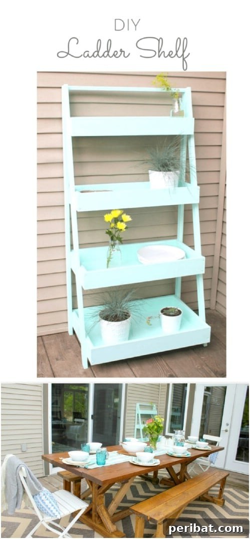 Simple DIY Ladder Shelf