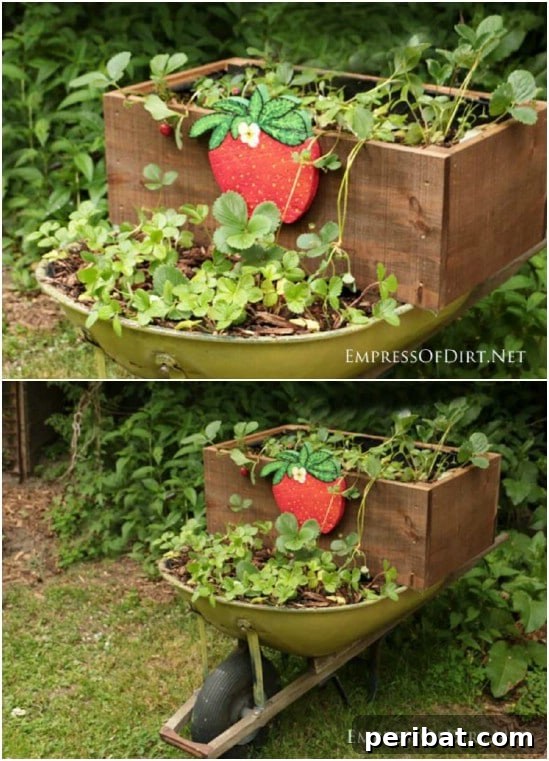 DIY Rolling Strawberry Planter
