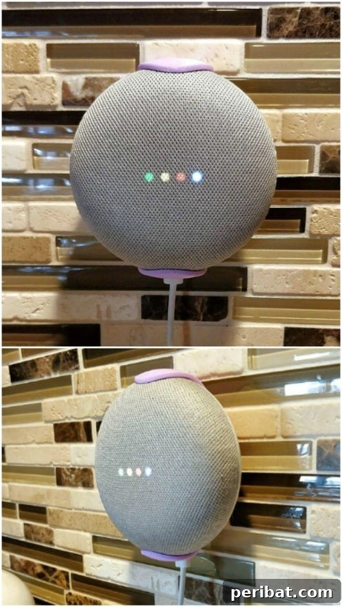 Wall Mount For Google Mini