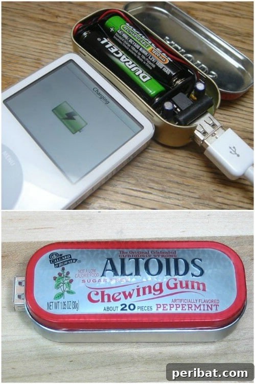 Small DIY Battery Powered USB Charger