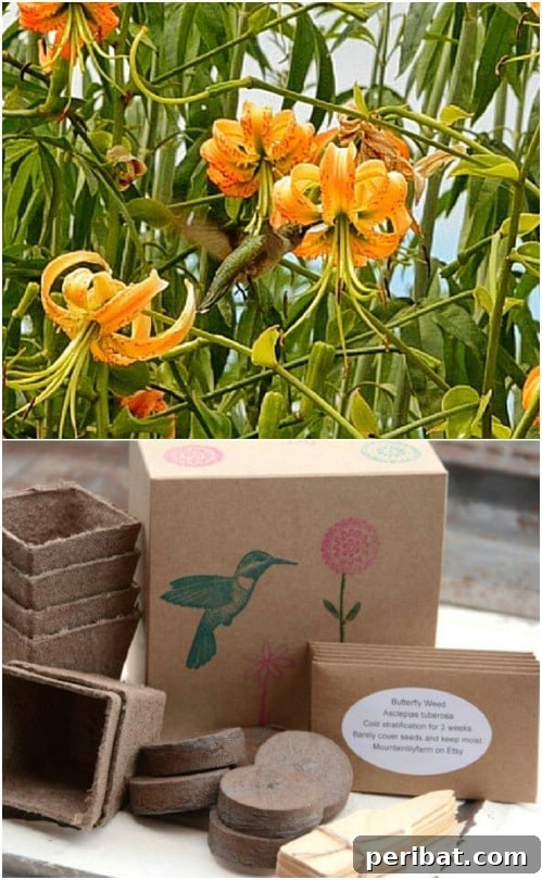 DIY Hummingbird Garden Kit