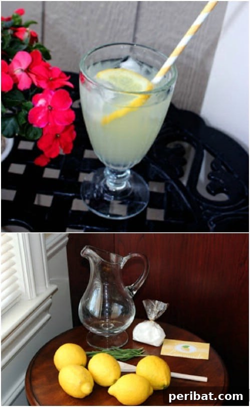 DIY Freshly Squeezed Lemonade Kit