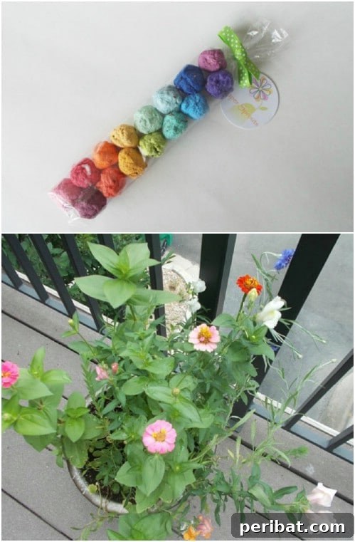 Wildflower Seed Bombs