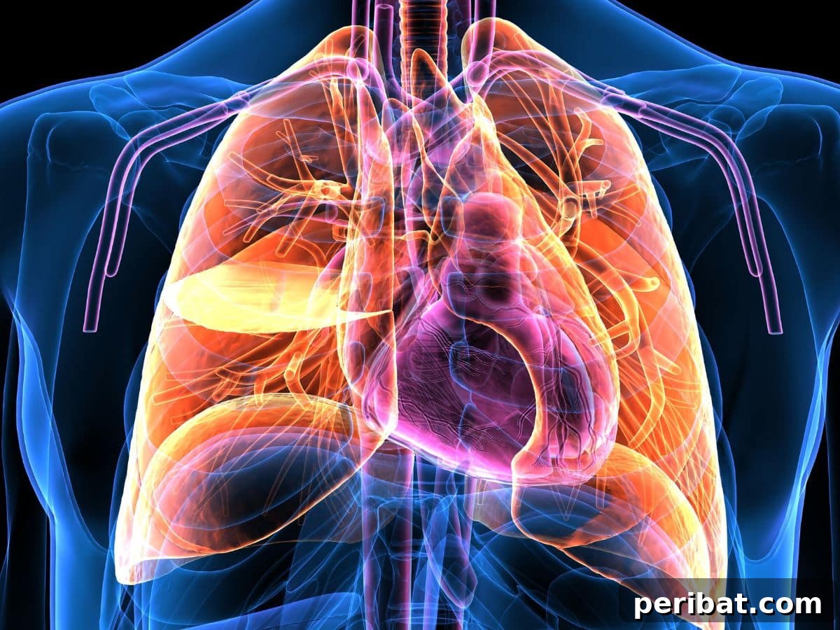 10 Health Benefits of Ginger You Absolutely Never Knew 3 Ginger root helping with respiratory issues like cold and flu