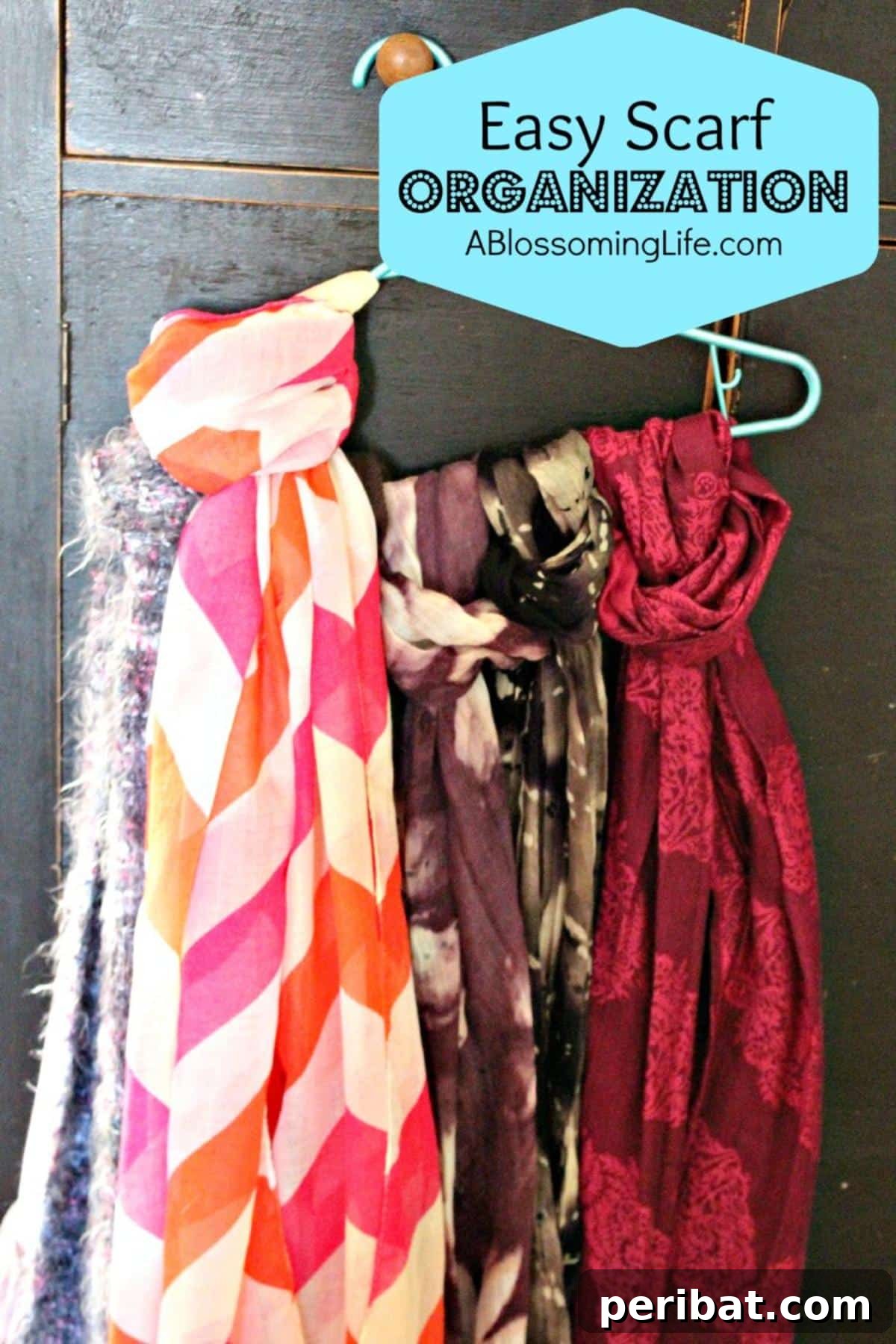 Scarf and Belt Organizer