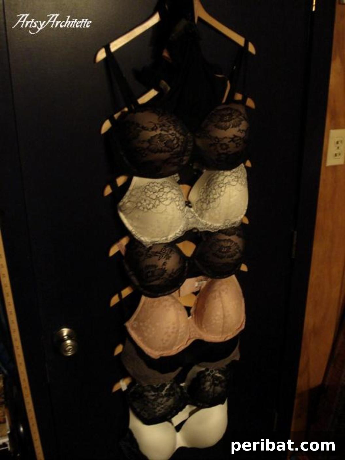Hanging Bra Organizer